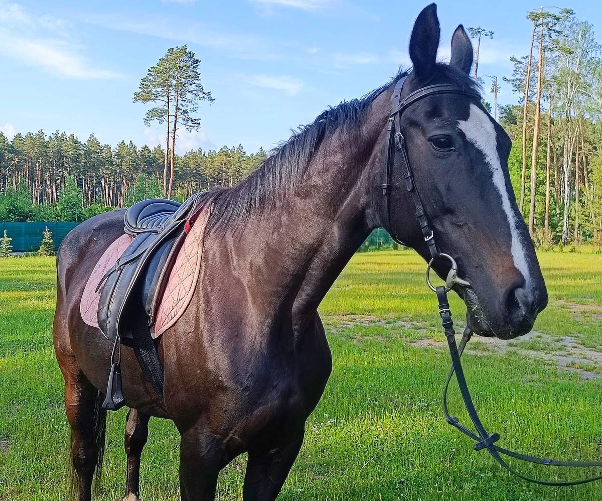 Ośrodek Uroczysko w Słopcu – malownicze położenie wśród lasów Gór Świętokrzyskich
