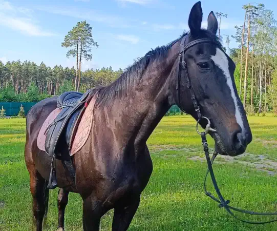 Ośrodek Uroczysko w Słopcu – malownicze położenie wśród lasów Gór Świętokrzyskich
