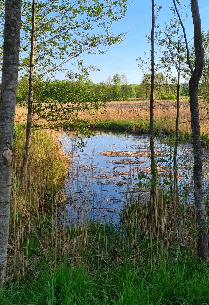 Ośrodek Uroczysko w Słopcu – malownicze położenie wśród lasów Gór Świętokrzyskich